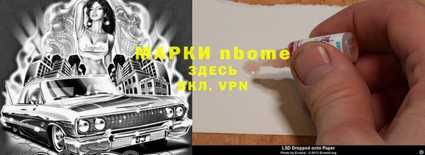 гидра Алексин