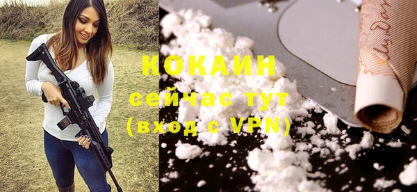 гидра Алексин